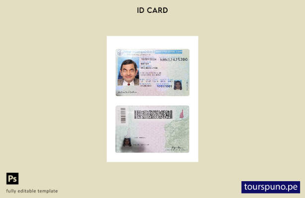 Plantilla de tarjeta de identificación de New Hampshire de EE. UU. lista para im